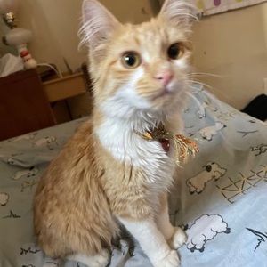 Meet your Posher, Alora